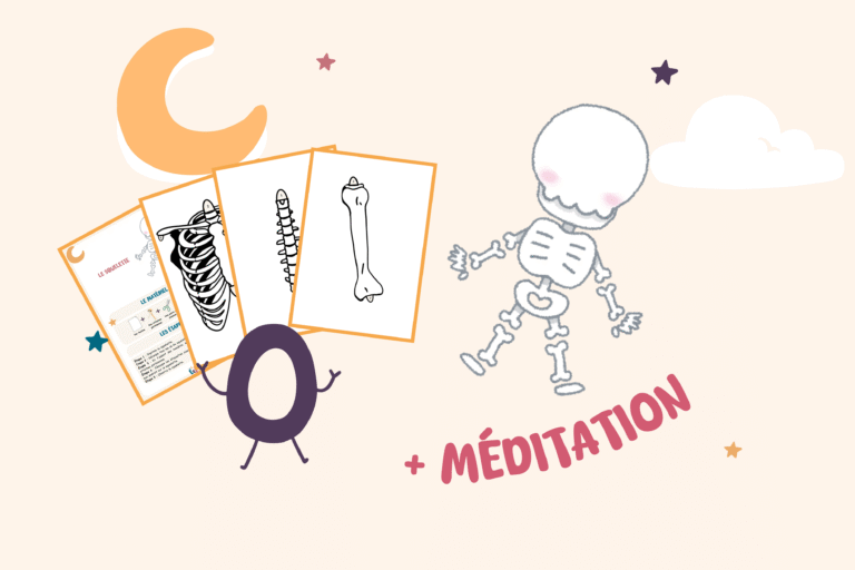 illustration squelette