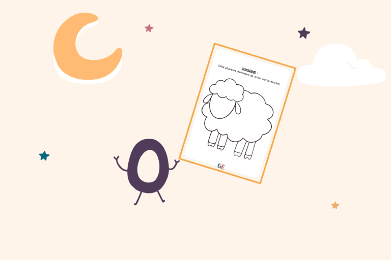 illustration mouton coton