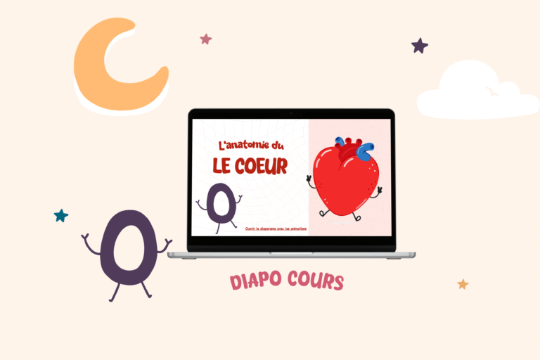 illu diapo coeur et activités