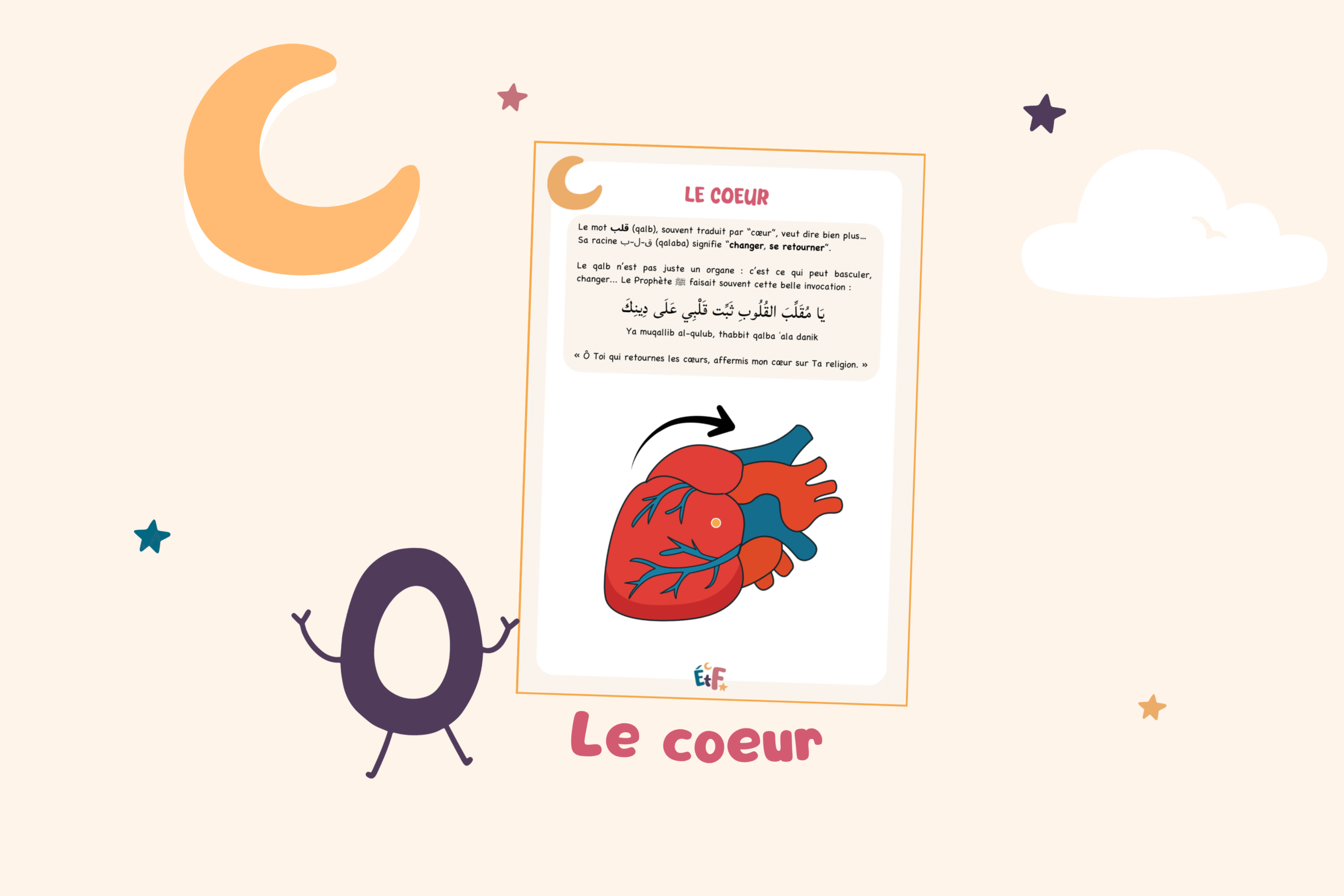 Illustrations coeur al qalb activité
